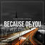 Cover Because Of You