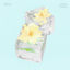 Cover Everlasting