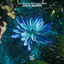 Cover Cold Water
