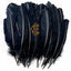 Cover Hyacinth