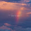 Cover Free To Love