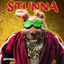 Cover Stunna
