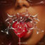 Cover Looking For Love