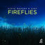 Cover Fireflies
