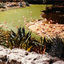 Cover Gold Fiction Loop Garden