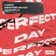 Cover Perfect Day