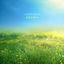 Cover Aroma
