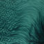 Cover Volutes