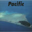 Cover PACIFIC