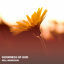Cover Goodness of God