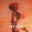 Cover Hey Now