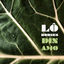 Cover Dínamo