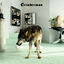 Cover Grinderman 2