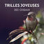 Cover Trilles joyeuses des oiseaux - Musique de relaxation pour attitude positive, Thérapie sonore naturel, Bruits de la forêt, Détente 