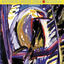 Cover Passarim