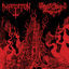 Cover Diabolical Flames of the Ascended Plague
