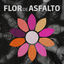Cover Flor de Asfalto