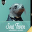Cover Soul Fever