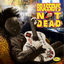 Cover Vol 4