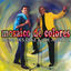 Cover Mosaico De Colores