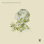 Cover In Search of Lost Time
