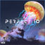 Cover Perfect 10