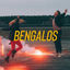 Cover Bengalos