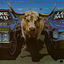 Cover Forever Taurus (Remastered 2025)