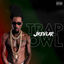 Cover Trap Owl