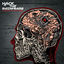 Cover Disorders Of Consciousness