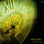 Cover Life Cycle - Evolution