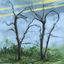 Cover Where the Earth Bends