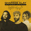 Cover Ghareeb Alay (R3HAB Remix)