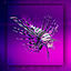 Cover Lionfish