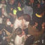 Cover Tanto