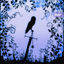 Cover Synthetic Fauna