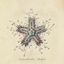 Cover Starfish