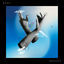 Cover More