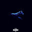 Cover The Chase (Rebūke Remix)