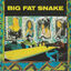 Cover Big Fat Snake