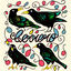 Cover Cuando Canto Grito