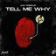 Cover Tell Me Why