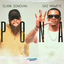 Cover PONA