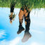 Cover SIRENITY