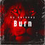 Cover Burn