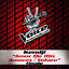 Cover Amor De Mis Amores / Volare - The Voice 3