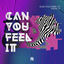 Cover Can You Feel It (Radio Edit)