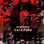 Cover Core Fade