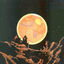 Cover GHOST FROM MY PAST