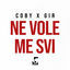 Cover Ne vole me svi